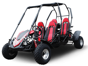 TrailMaster BLAZER4 200 GoKart
