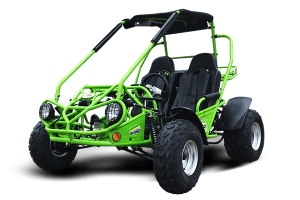 TrailMaster 200(E) XRX GoKart